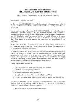ELECTRICITY DISTRIBUTION STRATEGIES AND BUSINESS