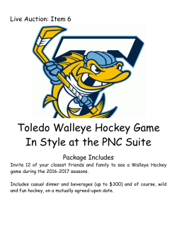 Toledo Walleye Hockey Game In Style at the PNC Suite