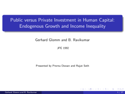 Public versus Private Investment in Human Capital: Endogenous