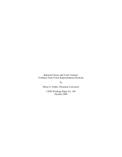 Rational Choice and Voter Turnout