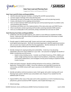 Roles and Responsibilities for the State Team SOAR Lead, Local