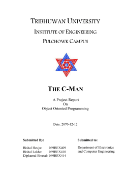 Literature Survey: About RPG