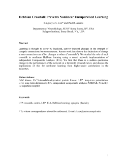 Synaptic Update Errors in the Brain