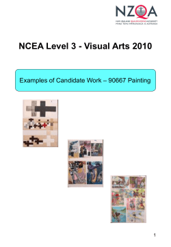 NCEA Level 3 - Visual Arts exemplars 2010 - painting