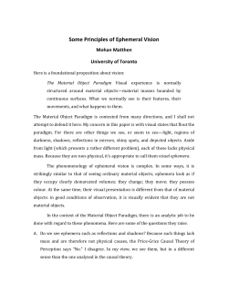 Some Principles of Ephemeral Vision