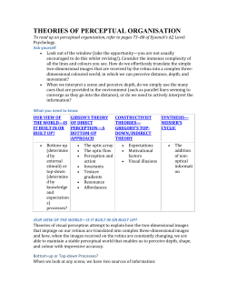 THEORIES OF PERCEPTUAL ORGANISATION