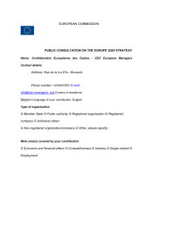 EUROPEAN COMMISSION PUBLIC CONSULTATION ON THE