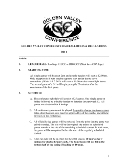 summary/opinion paper