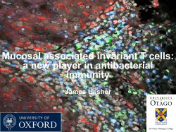 Mucosal associated invariant T cells: a new player in antibacterial