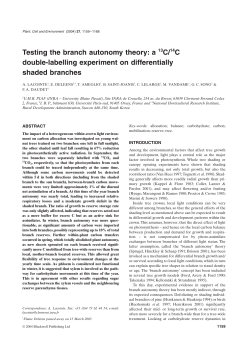 Testing the branch autonomy theory: a 13C/14C double