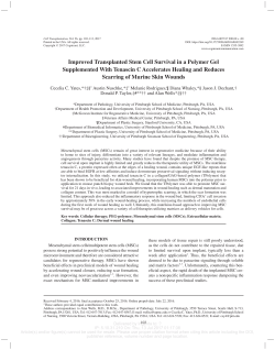 Improved Transplanted Stem Cell Survival in a