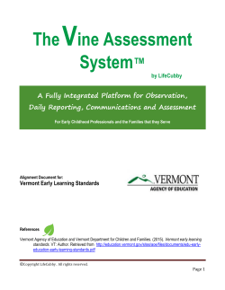 TheVine Assessment System