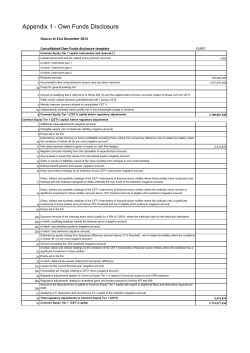 Appendix 1 - Own Funds Disclosure