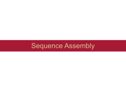 7. Sequence Assembly