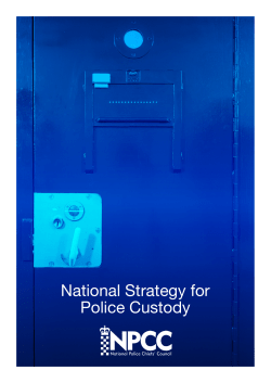 National Strategy for Police Custody