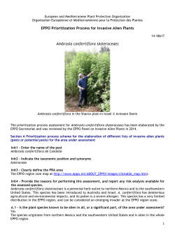 Flora of Israel online, Ambrosia confertiflora.