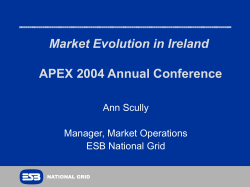 The experience of electricity market in Ireland