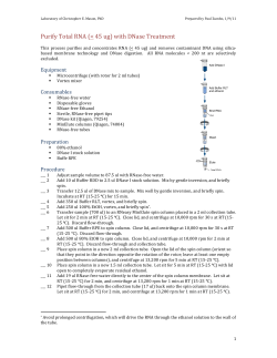 Purify Total RNA (< 45 ug) with DNase Treatment