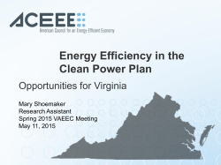 Energy Efficiency in the Clean Power Plan: Opportunities for Virginia