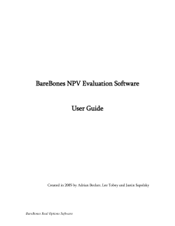 BareBones NPV Evaluation Software