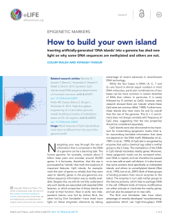 How to build your own island