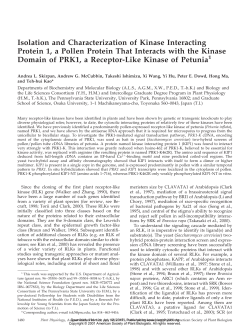 Isolation and Characterization of Kinase Interacting Protein 1, a