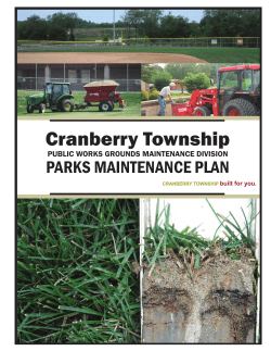 Parks Maintenance Plan