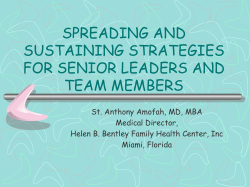 SUSTAIN AND SPREAD STRATEGIES FOR SENIOR LEADERS