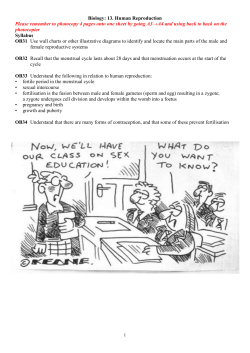 13. Human Reproduction