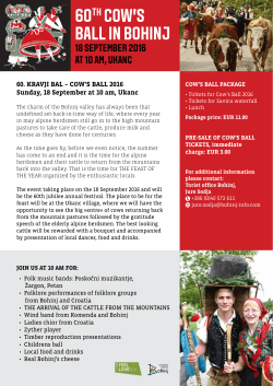 60th cow`s ball in bohinj