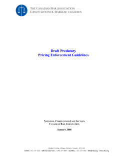 Draft Predatory Pricing Enforcement Guidelines