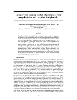 Unsupervised learning models of primary cortical receptive fields
