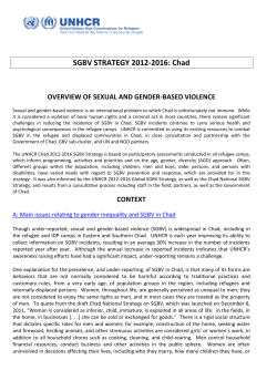 sgbv strategy - chad