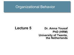 Organizational Behavior 11e
