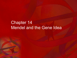 Mendel and the Gene Idea