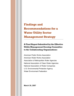 Findings and Recommendations for a Water Utility Sector