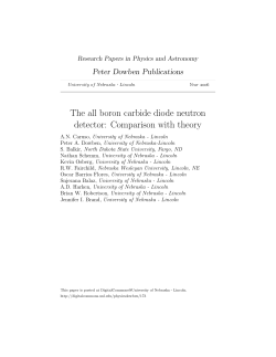 The all boron carbide diode neutron detector: Comparison with theory