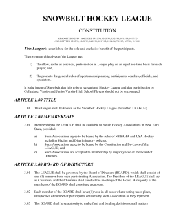 PDF, 366KB - Snowbelt Hockey League