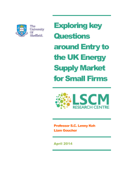 Exploring key Questions around Entry to the UK Energy Supply