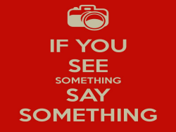 The Safehaven Process