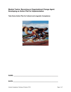 take home action plan