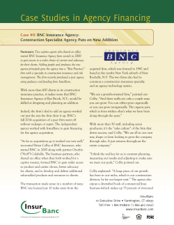 Case Studies in Agency Financing