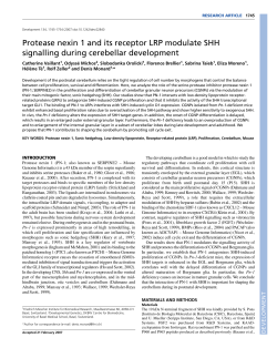 Protease nexin 1 and its receptor LRP modulate