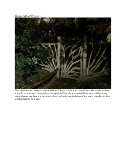 communicate-tree-hman-relations