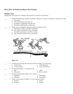 DNA + Protein Synthesis + MutationWeb Review