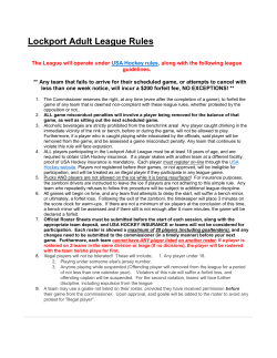 Lockport Adult League Rules