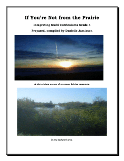 If You`re Not From&hellip; - Supporting-Arts-Ed