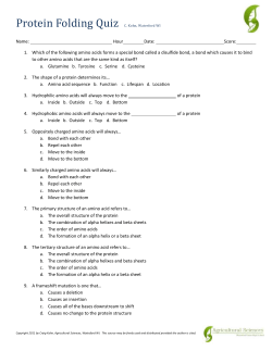 Protein Folding Quiz