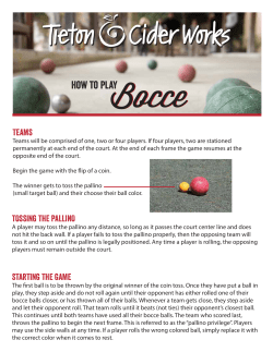 Here are the Bocce Rules.