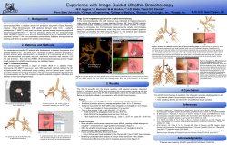 Optimal Graph-Theoretic Approach to 3D Anatomical Tree Matching